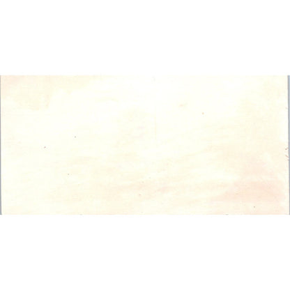 Antique Victorian Bookmark Cat and White Cockatiel AB9