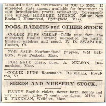 Secure Your Berry Baskets Henry J. Perkins Springfield 1905 Magazine Ad AF1-NH2