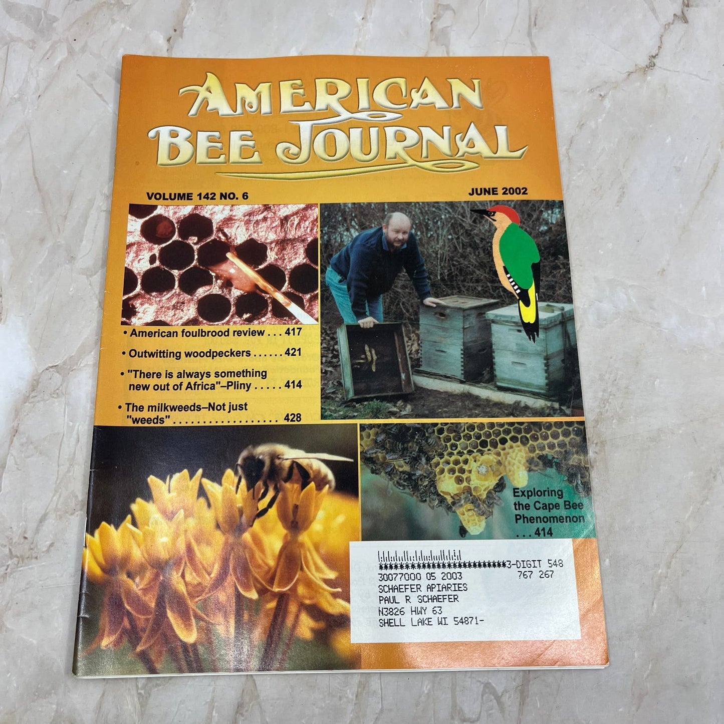 2002 June American Bee Journal Magazine Bees Beekeeping Honey M7