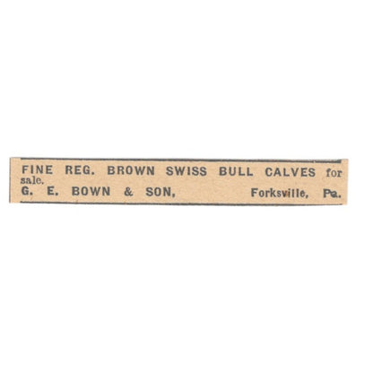 Edwin B. Maule Guernsey Bull Coatesville PA 1922 Magazine Ad AF2-T2