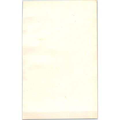 Kingfisher Bird 1903 Original Color Engraving Plate Print AD8-B4