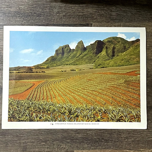 Pineapple Field, Island of Kauai Hawaii Atkeson Vintage Art Print 11x16 V11