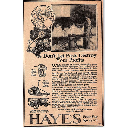 Hayes Fruit-Fog Sprayers Hayes Pump & Planter Co Galva IL 1920 Ad AG2-6