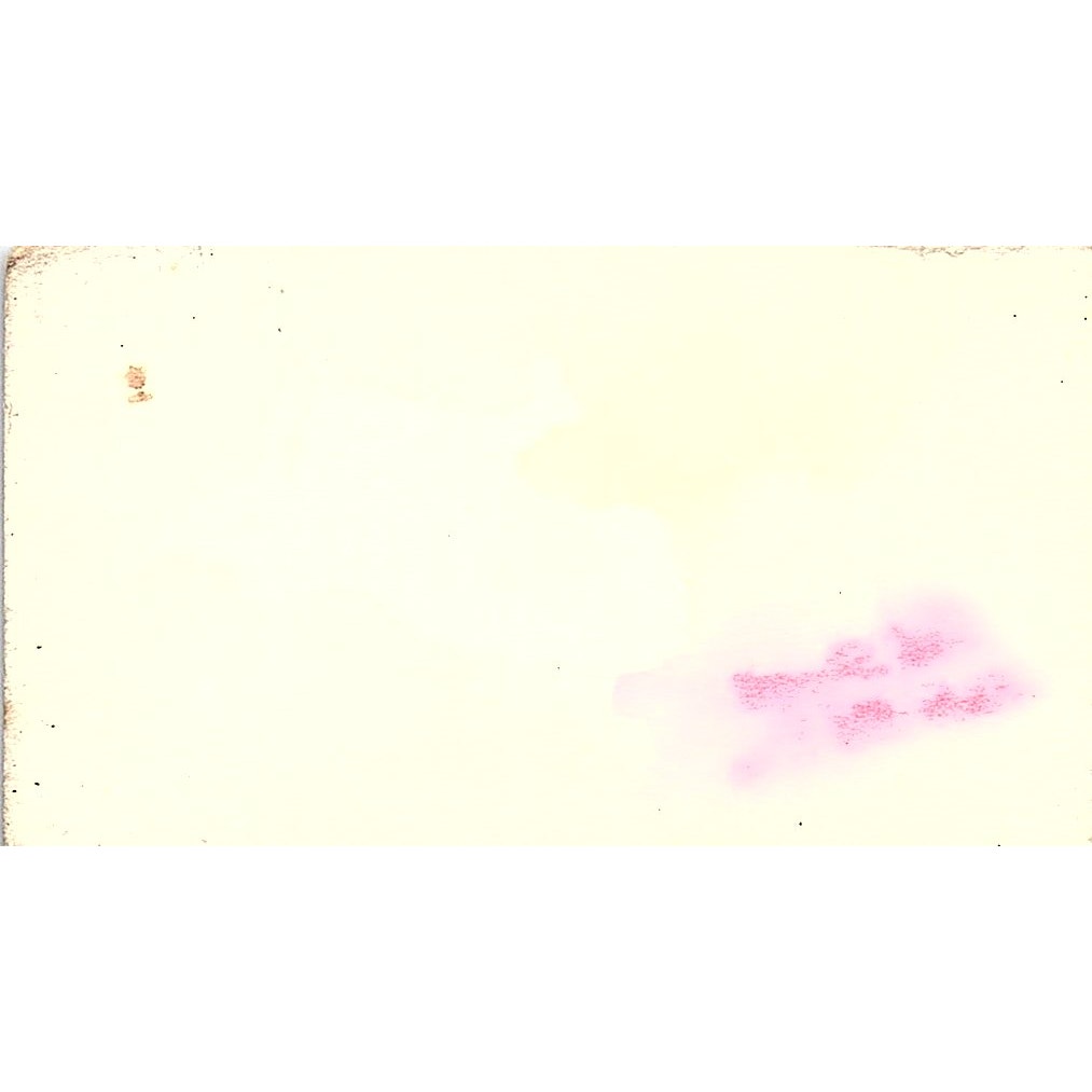 Budget Furniture Loe Fleiss Kroehler Simmans Lynwood CA Business Card SF3-B2