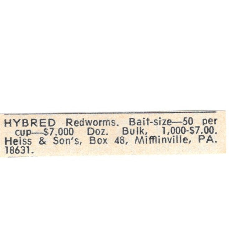 Heiss & Sons Hybrid Redworms Mifflinville PA 1977 Ad AF6-S5
