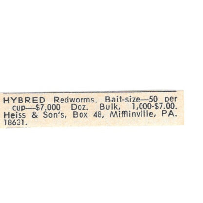 Heiss & Sons Hybrid Redworms Mifflinville PA 1977 Ad AF6-S5