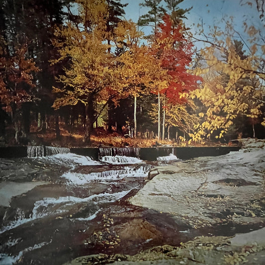 Jackson New Hampshire Wildcat River Autumn 12x16" Art Print FL1