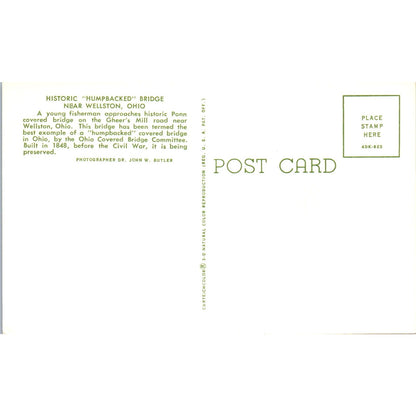 Humpbacked Bridge Wellston Ohio Covered Bridge Postcard PB13