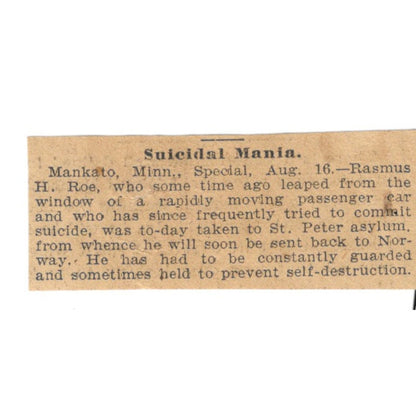 Rasmus H. Roe Mania Mankato MN St. Paul 1898 Newspaper Ad AF2-S3