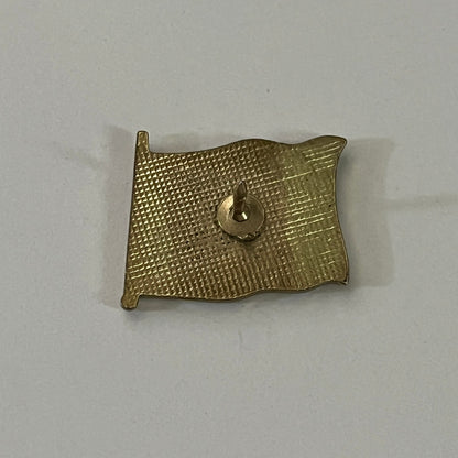 New Jersey State Flag Vintage Lapel Pin Enamel Pinback Button SD6