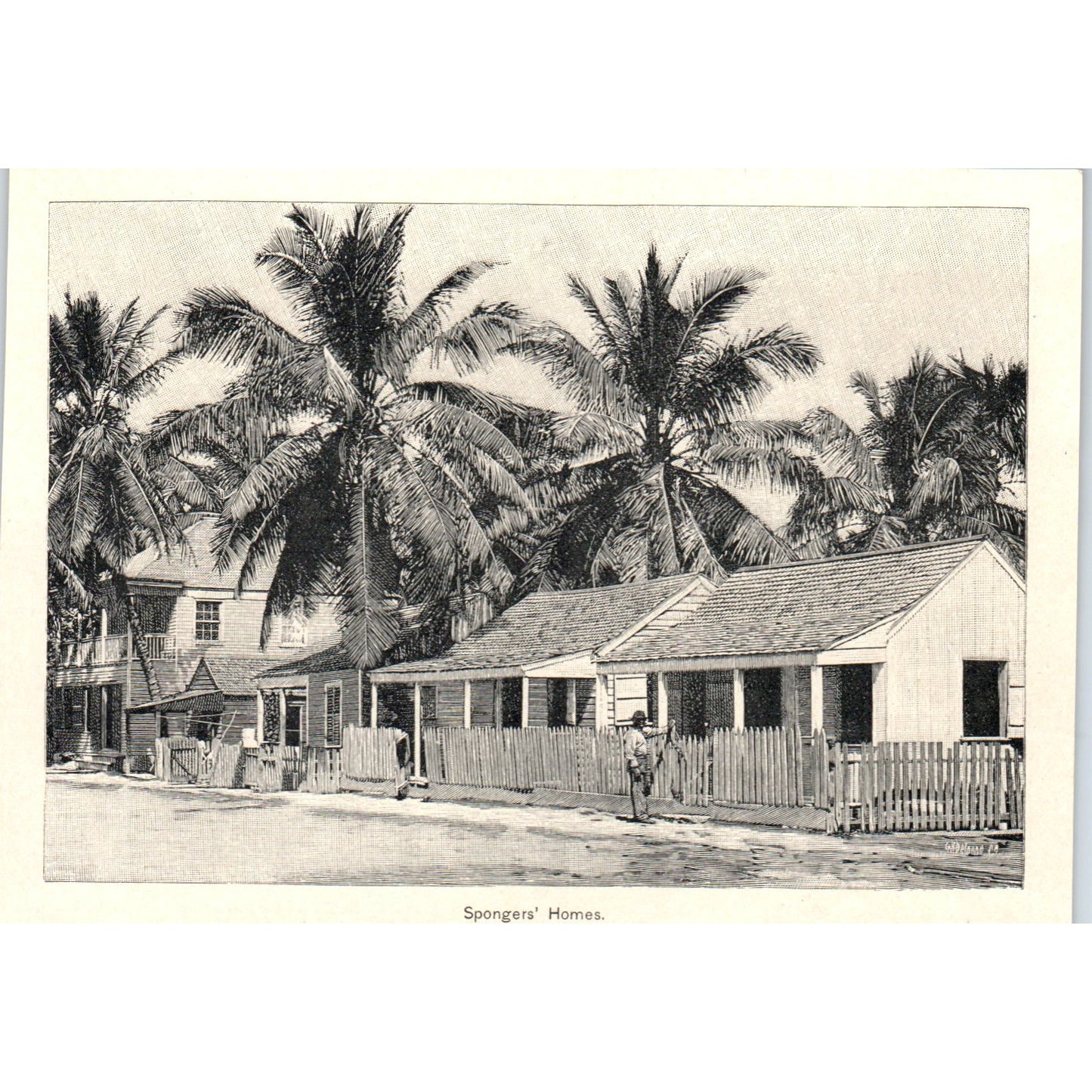 Sponge Fishermen's Spongers Homes Sketch 1892 Magazine Print AK5-H8