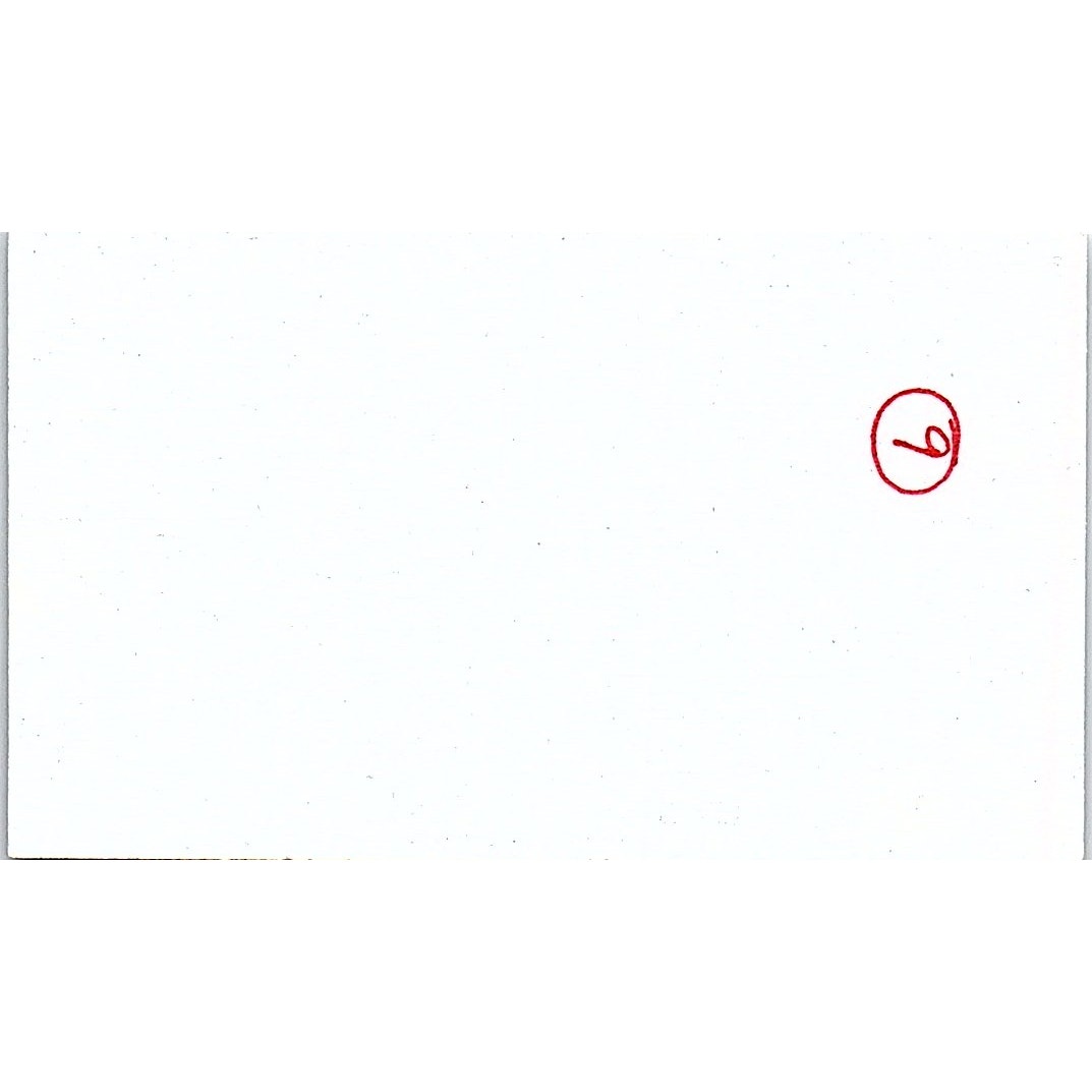 Catch a Falling Star Mary Kay Braun Eden Prairie MN Vtg Business Card SC9-B10