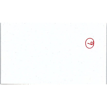 Catch a Falling Star Mary Kay Braun Eden Prairie MN Vtg Business Card SC9-B10