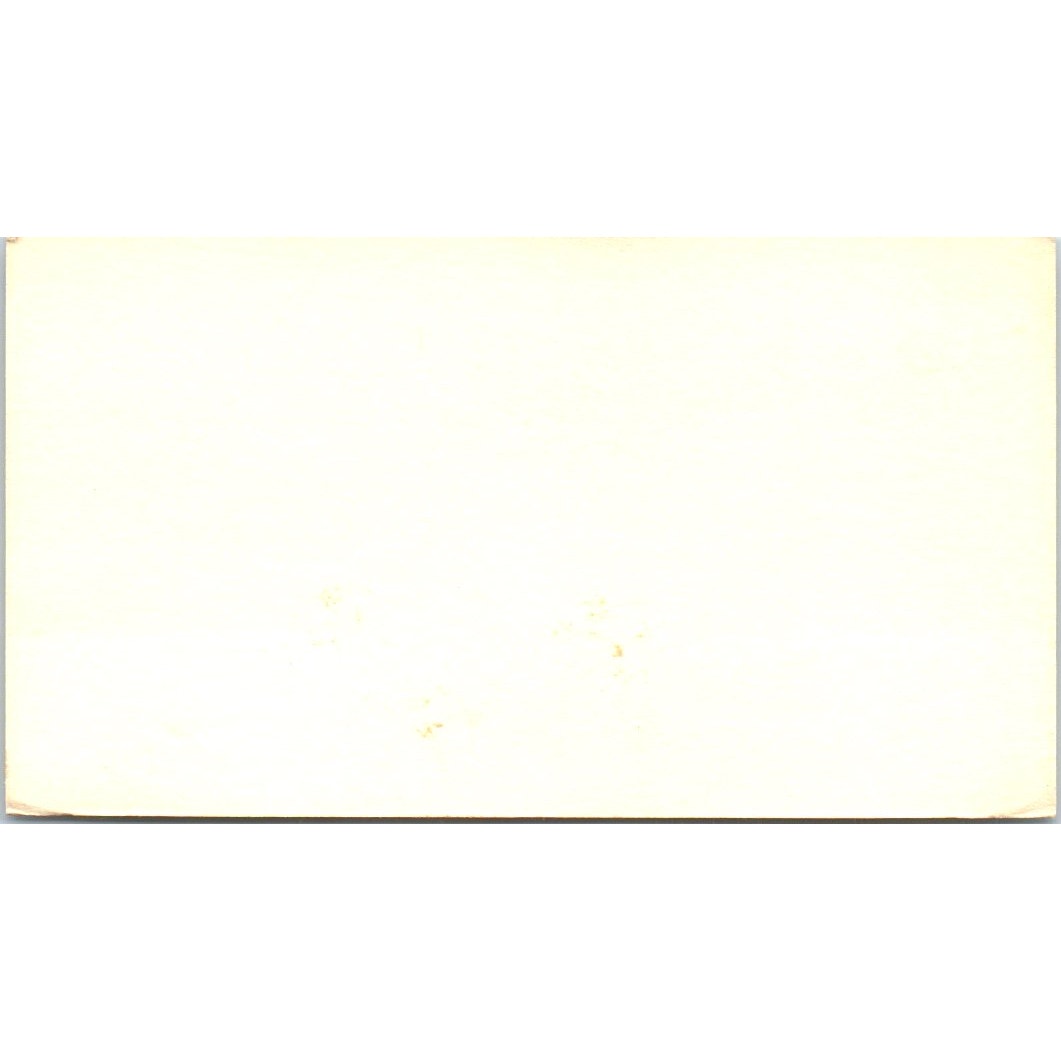 Leslie Lekich Hors & Associates Real Estate Friendswood TX Business Card SD8-B2