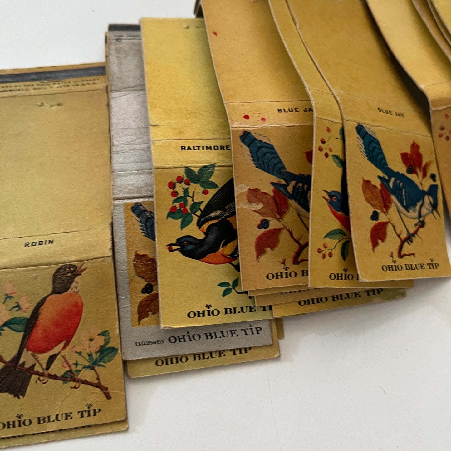 Huge Lot of Vintage Ohio Blue Tip Nature Matchbook Match Covers Bird Flower TF9