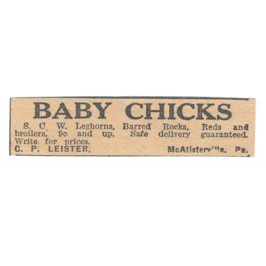 C.P. Leister Baby Chicks McAlisterville PA 1922 Magazine Ad AF2-T4