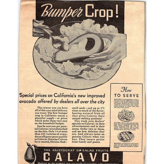 Calavo Avocados California 1935 Newspaper Ad V1-9