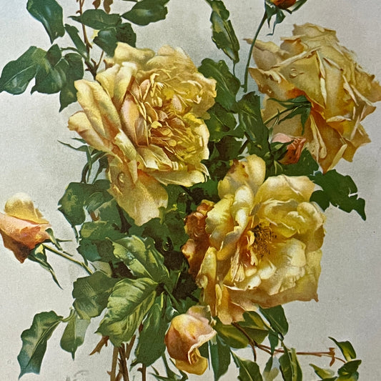 Vintage Kitsch Yellow Roses 7x10 Art Print V2