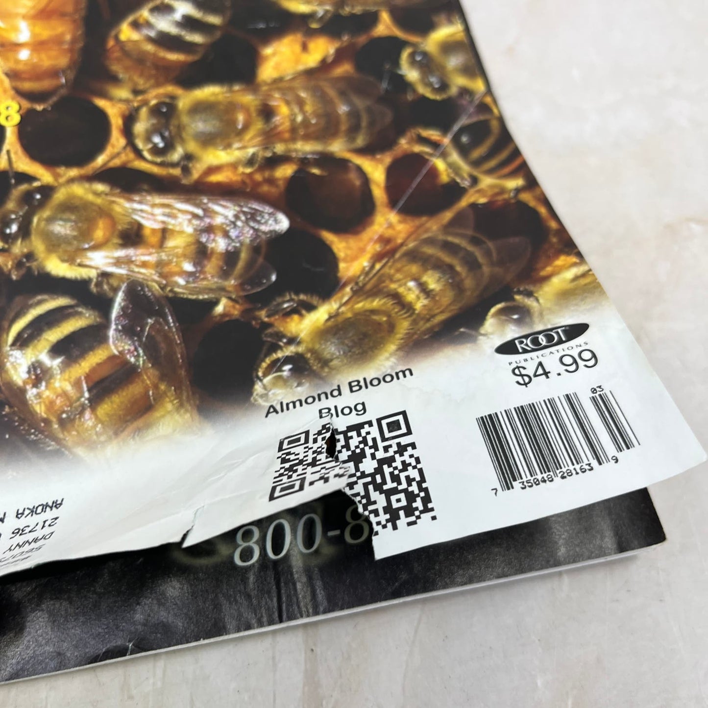 2012 March Bee Culture Magazine Bees Beekeeping Honey M8
