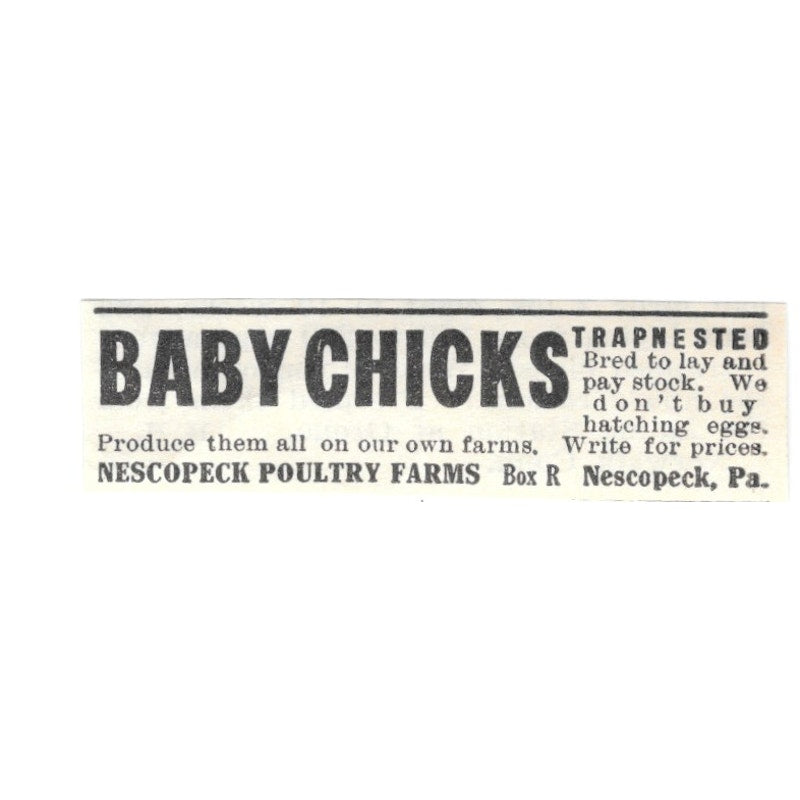 Nescopeck Poultry Farms Baby Chicks Nescopeck PA 1924 Ad AG3-S4