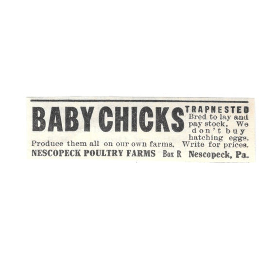 Nescopeck Poultry Farms Baby Chicks Nescopeck PA 1924 Ad AG3-S4