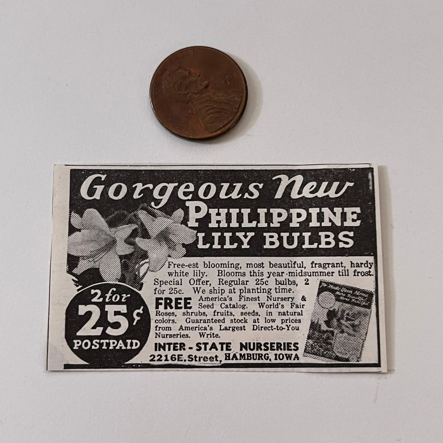 Inter-State Nurseries Philippine Lily Bulbs Hamburg IA 1936 Ad SAG4-M4