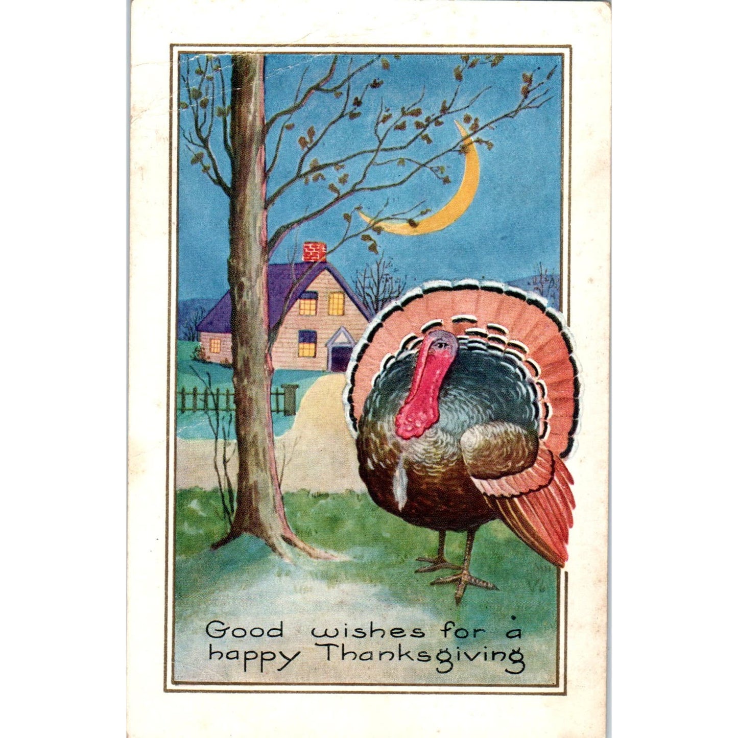 c1905 Thanksgiving Embossed Turkey Original Postcard PC10