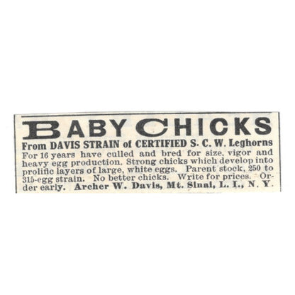 Archer W. Davis Baby Chicks Mt. Sinai Long Island NY 1924 Ad AG3-S5