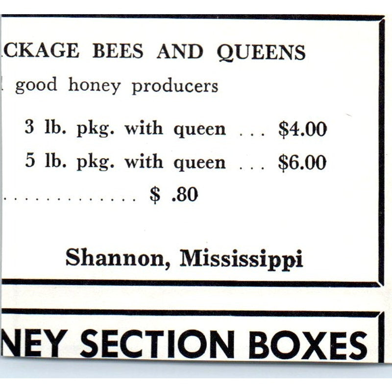 Johnnie Arnouville Yellow Italian Queen Bees Hamburg LA 1964 Magazine Ad AK5-S36