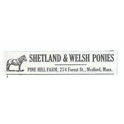 Shetland & Welsh Ponies Pine Hill Farm Medford MA 1913 Magazine Advert AE7-N8