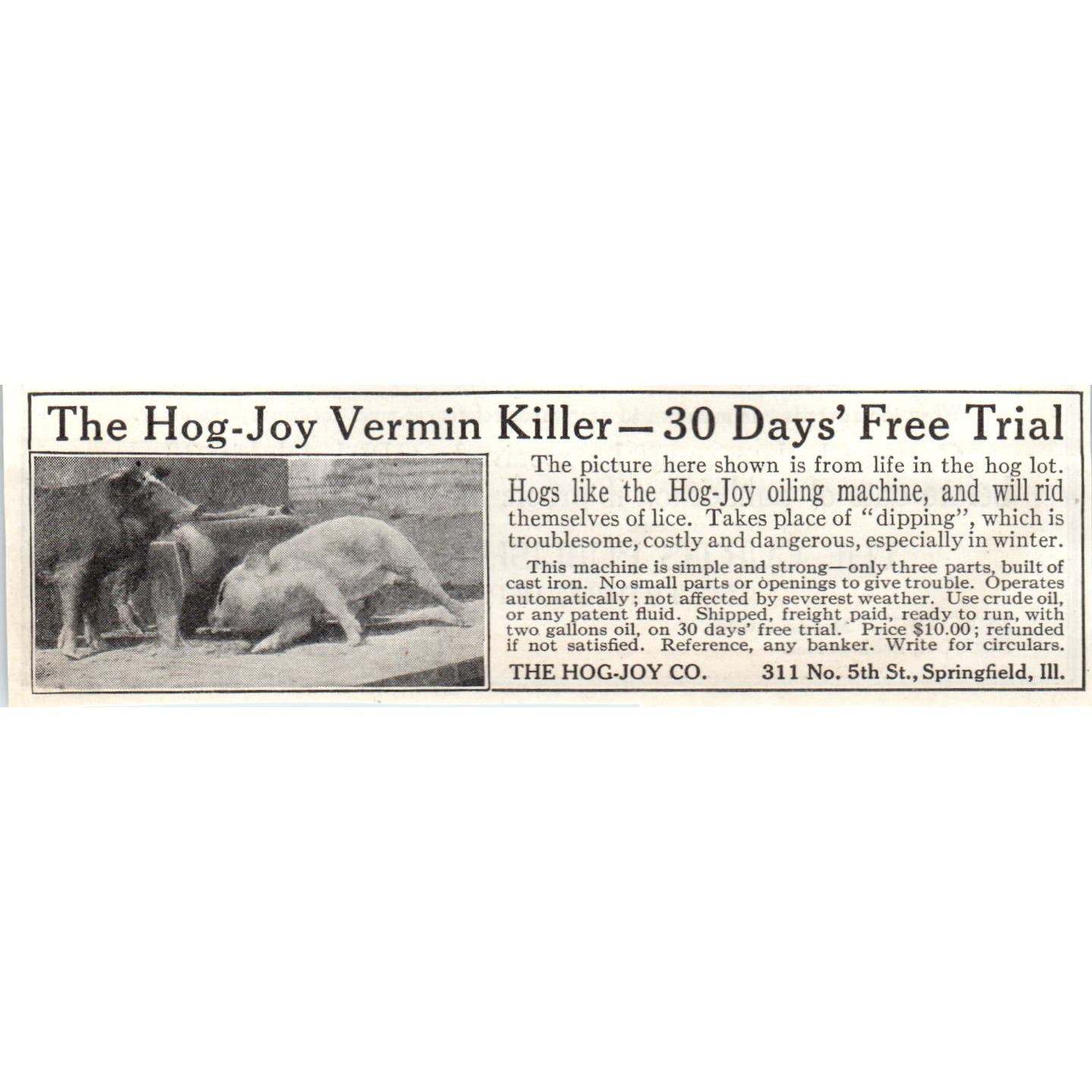the Hog-Joy Co Vermin Killer Springfield IL 1913 Magazine Advertisement AE7-N7