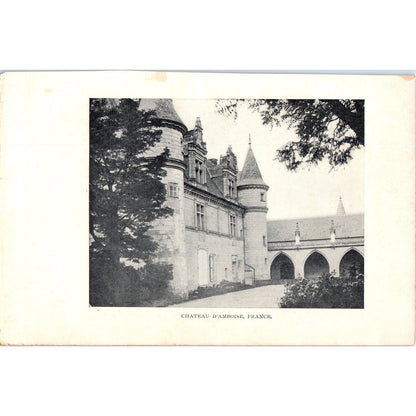 Château D'Amboise France 1901 Original Print AD8-H8