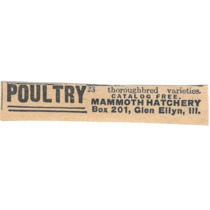 Mammoth Hatchery Poultry Glen Ellyn Illinois 1920 Ad AG2-S9