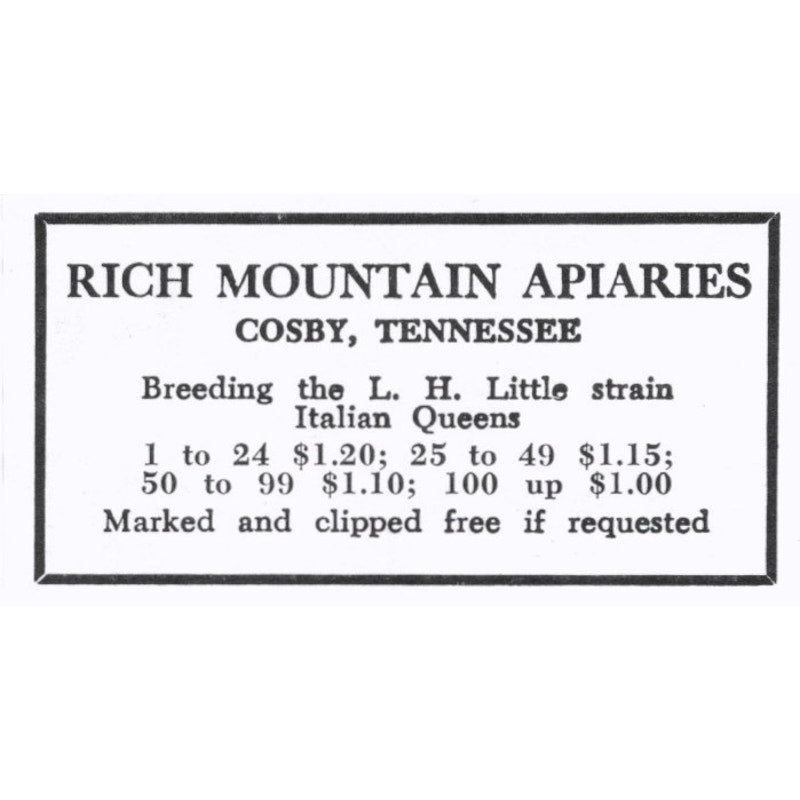 Rich Mountain Apiaries Italian Queen Bees Cosby TN 1964 Magazine Ad AK6-S15
