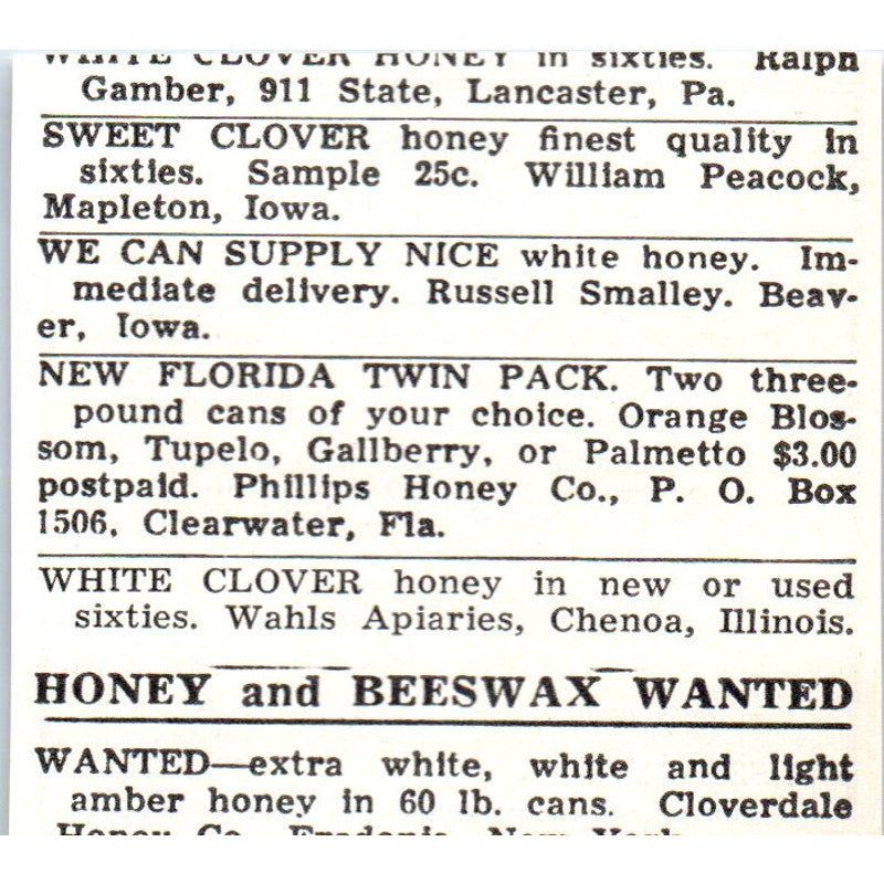 Gaspards Quality Bees and Queens Gaspard Bee Co Hessmer LA 1961 Ad AK6-S12