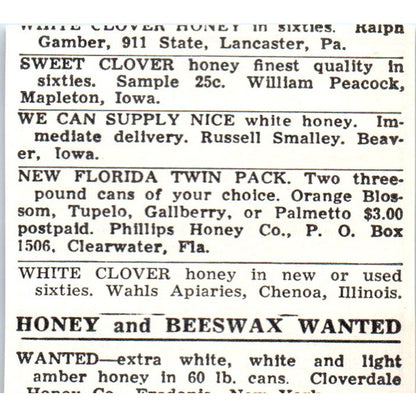Gaspards Quality Bees and Queens Gaspard Bee Co Hessmer LA 1961 Ad AK6-S12