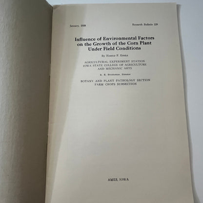 Influence of Environmental Factors on the Growth of the Corn Plant 1938 TK2-XB2