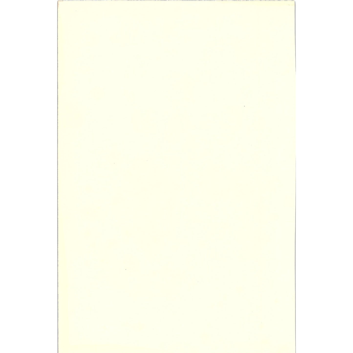 Sir Walter Raleigh Engraving Vintage Art Print 7x10 V6