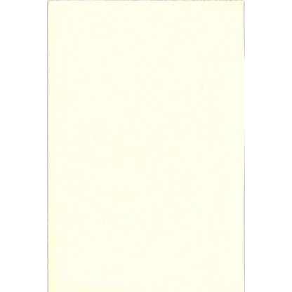 Sir Walter Raleigh Engraving Vintage Art Print 7x10 V6