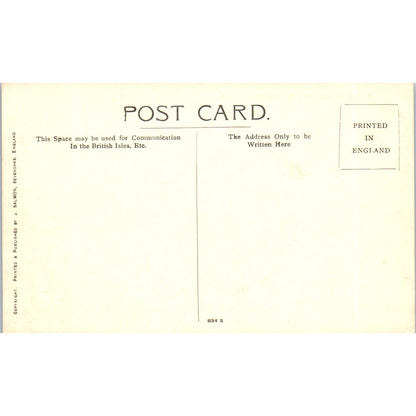 Entrance Drive Warwick Castle Vintage Postcard PE4