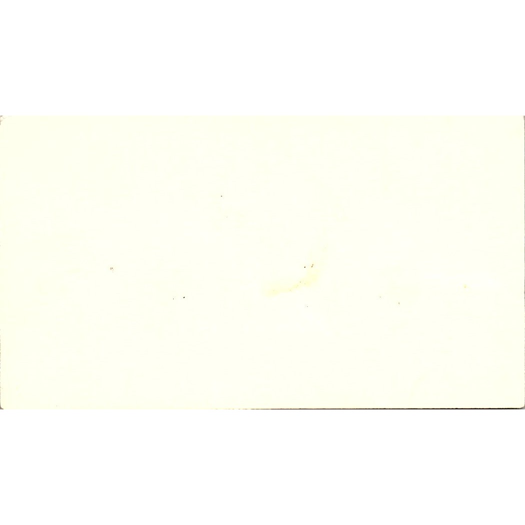 Carol's Trim & Upholstery Shop Carol Hunt Sunflower Vintage Business Card SF3-B6