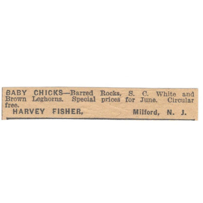 Harvey Fisher Baby Chicks Milford NJ 1922 Magazine Ad AF2-T1