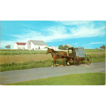 The Amish Family Carriage Pennsylvania Dutch Country Postcard PD7