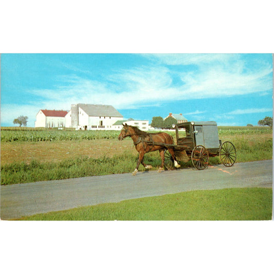 The Amish Family Carriage Pennsylvania Dutch Country Postcard PD7