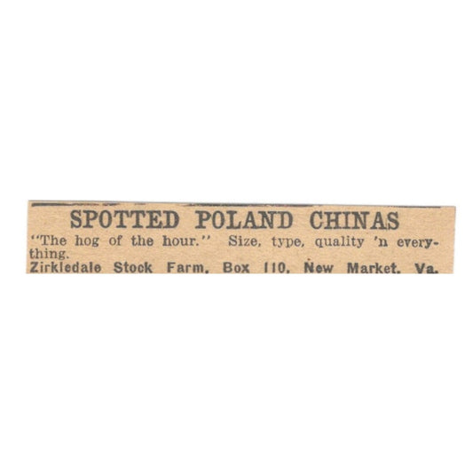 Zirkdale Stock Farm Spotted Poland Chinas New Market VA 1922 Magazine Ad AF2-T2