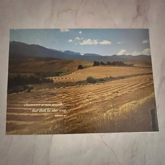 1983 Galatians 6:7 Reap What You Sow Country Scene 7x10" Art Print V23