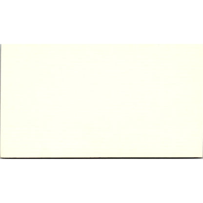 Mark S Panzer CPA Houston TX Vintage Business Card SD9-B1