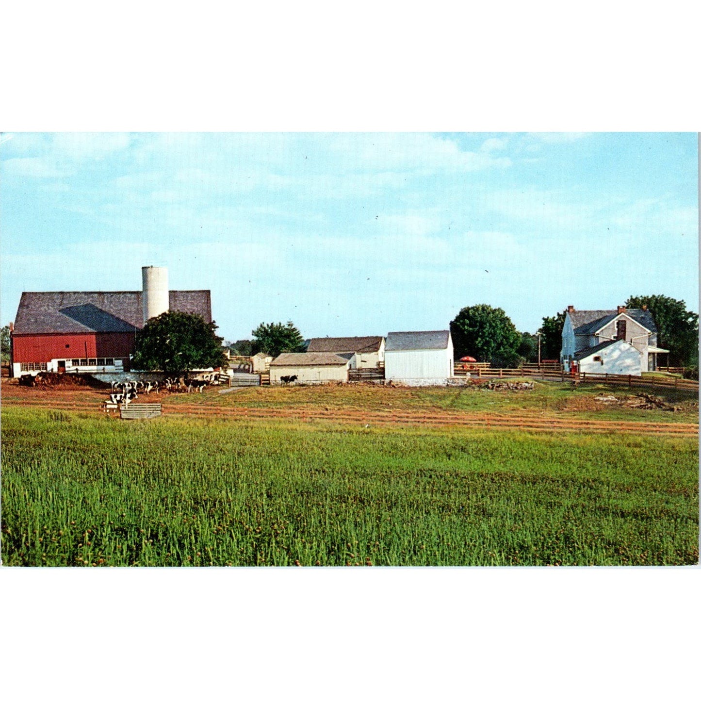 Lancaster, The Amish Homestead Pennsylvania Dutch Country Postcard PD7