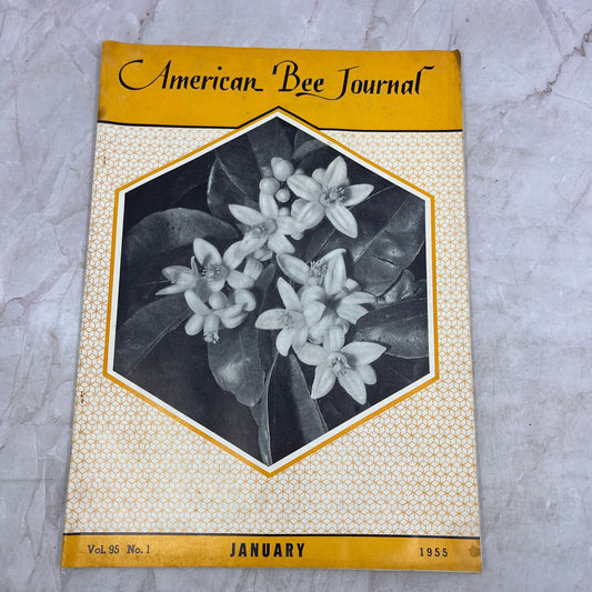 1955 Jan - American Bee Journal Magazine - Bees Beekeeping Honey M33