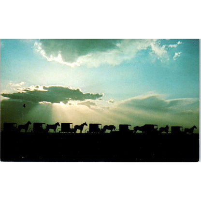 Old Order Amish Funeral Procession PA Dutch Country Vintage Postcard PD4